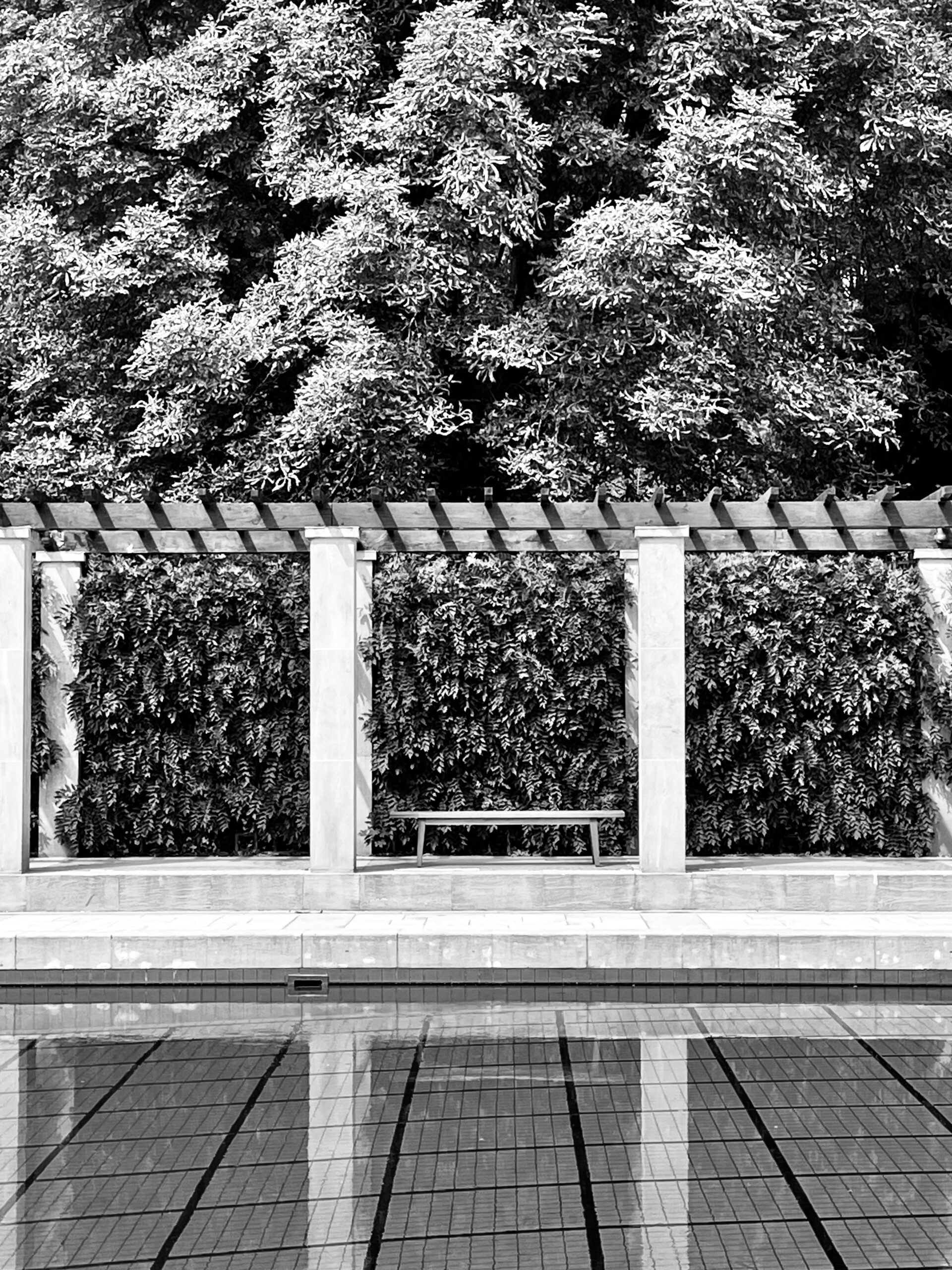 IMG_4750 Sunrise on the snowy mountains of the Himalayas in Dingri County, Xigaze, Tibet, China