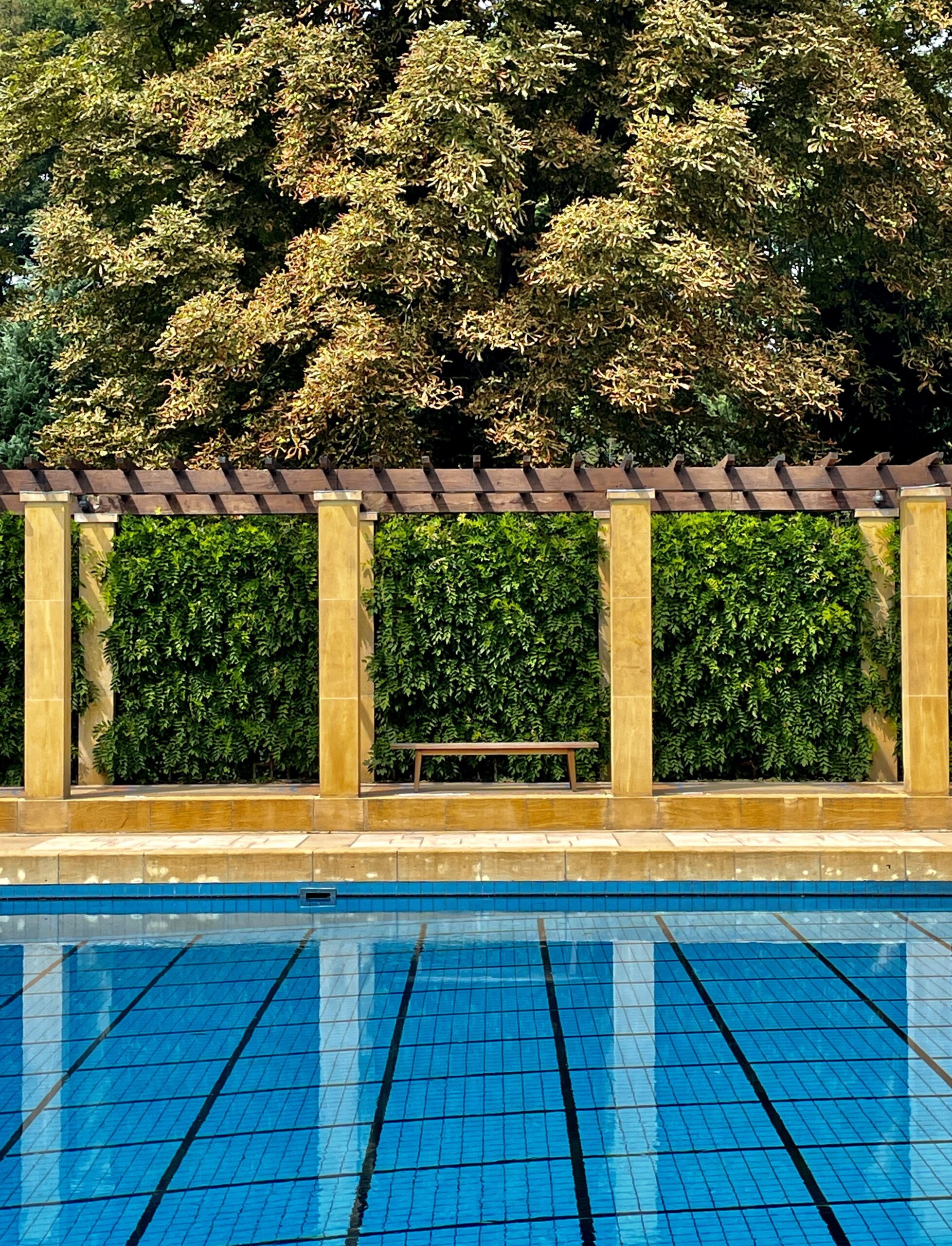 Sunrise on the snowy mountains of the Himalayas in Dingri County, Xigaze, Tibet, China